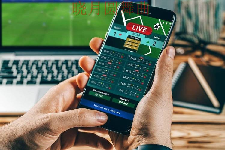 世界杯投注平台实测对比合集：覆盖稳定性评测+直播与入口方式 - 世界杯高清直播